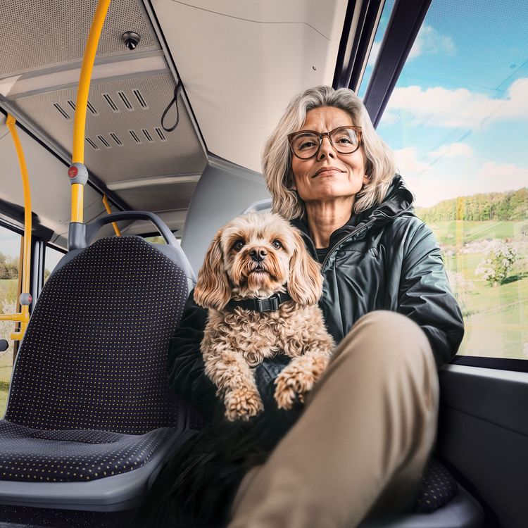 Tramfahrt mit Hund